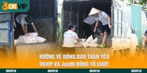 Đối tác - OKVIP - hình ảnh - okvipjl.com