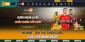 Đối tác - OKVIP - hình ảnh - okvipjl.com