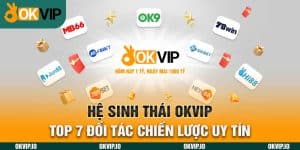 Đối tác - OKVIP - hình ảnh - okvipjl.com