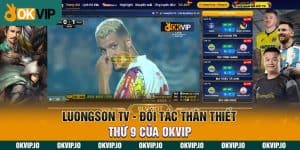 Đối tác - OKVIP - hình ảnh - okvipjl.com