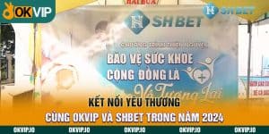 Đối tác - OKVIP - hình ảnh - okvipjl.com