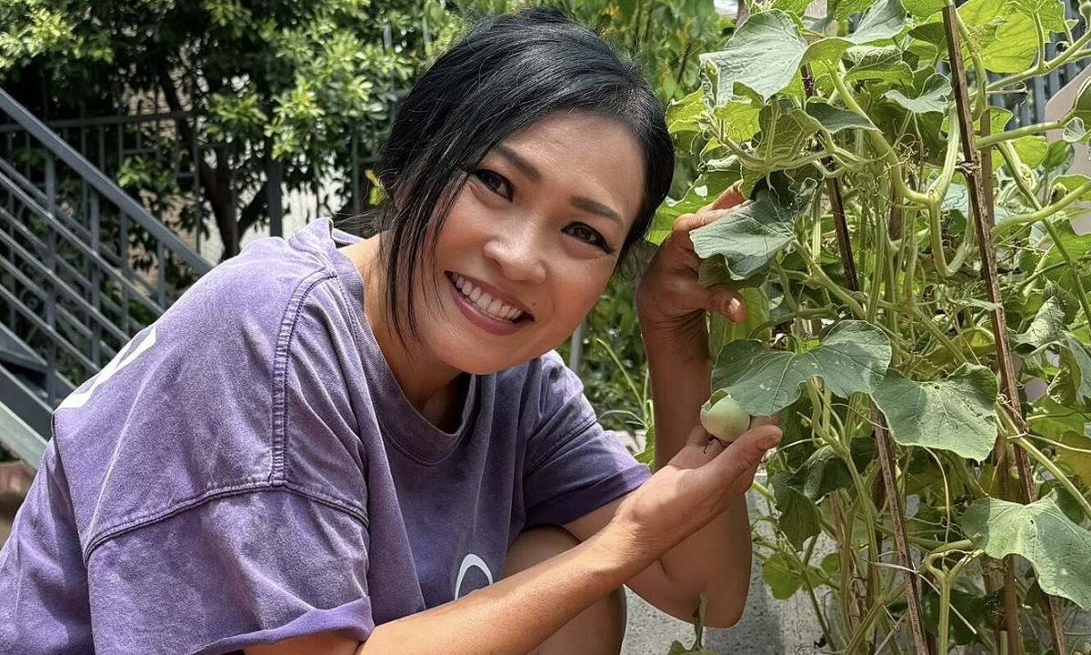 Thưởng đăng ký OKVIP và cảm hứng sống xanh từ vườn rau sân thượng của Phương Thanh - hình ảnh - okvipjl.com