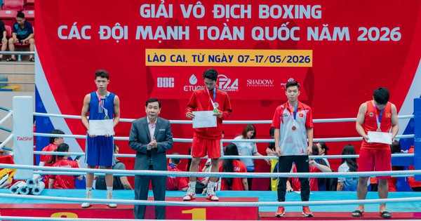 Liên đoàn Quyền anh Việt Nam bị tố bầu cử sai quy định – OKVIP cập nhật diễn biến mới - hình ảnh - okvipjl.com Liên đoàn Quyền anh Việt Nam bị tố bầu cử sai quy định – OKVIP cập nhật diễn biến mới - hình ảnh - okvipjl.com