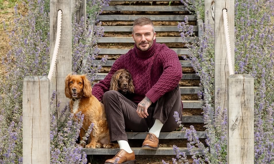 Phong Cách Mặc Giàu Ngầm Của David Beckham Và Góc Nhìn Từ OKVIP - hình ảnh - okvipjl.com Phong Cách Mặc Giàu Ngầm Của David Beckham Và Góc Nhìn Từ OKVIP - hình ảnh - okvipjl.com