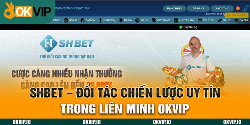 Hệ Sinh Thái OKVIP – Top 7 Đối Tác Chiến Lược Uy Tín - hình ảnh - okvipjl.com Hệ Sinh Thái OKVIP – Top 7 Đối Tác Chiến Lược Uy Tín - hình ảnh - okvipjl.com